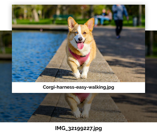 optimized image