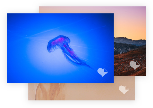 watermark image