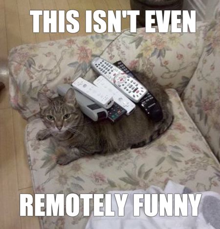 Cat and remotes meme