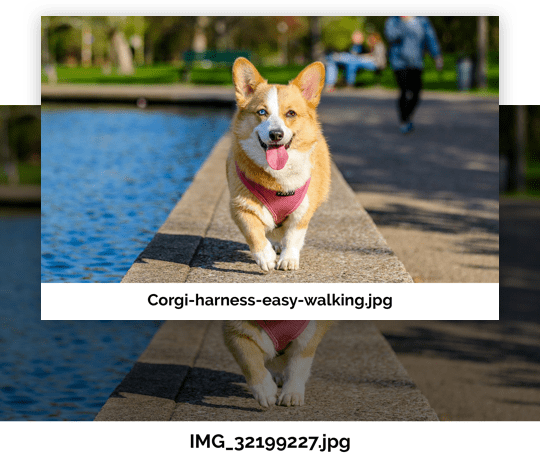 Rename images to optimize