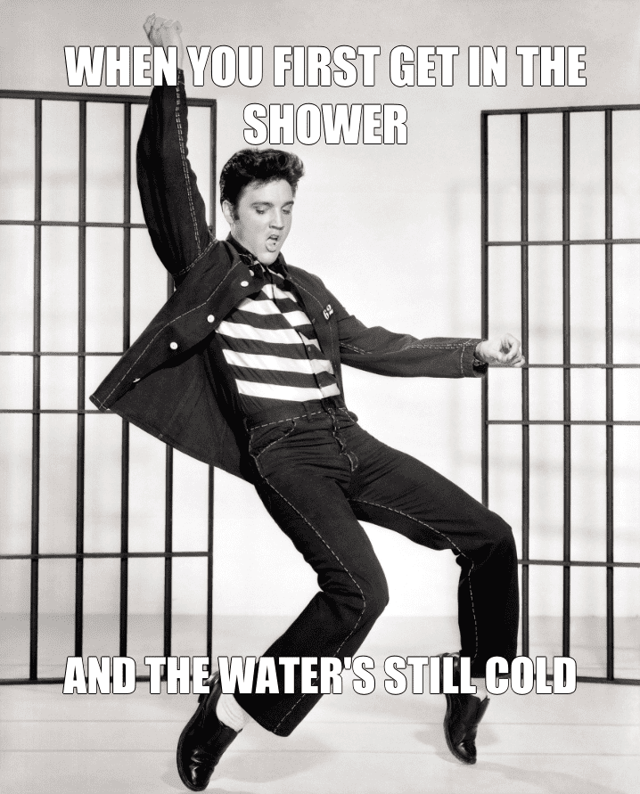 Elvis Presley meme