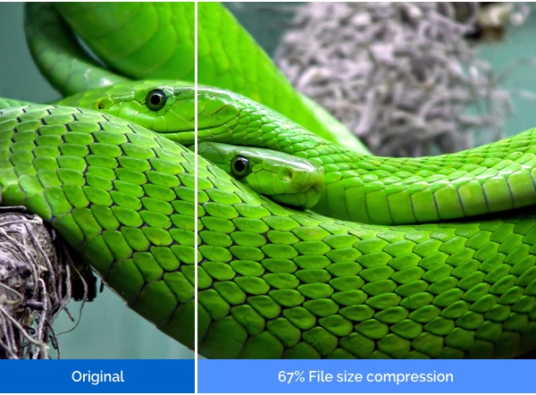 Image compression results example